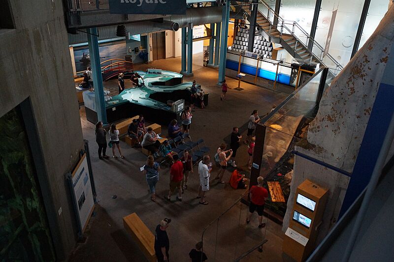 Great Lakes Aquarium DSC04058 37