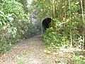 Guajataca tunnel 2