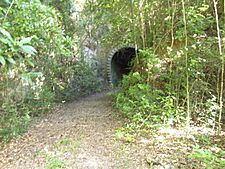 Guajataca tunnel 2