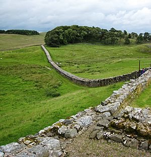 Hadrians Wall from Housesteads1 crop