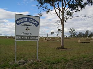 Harrisville cemetery, Scenic Rim Region, 2008