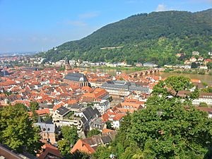 Heidelberg - aus dem Schloss 1