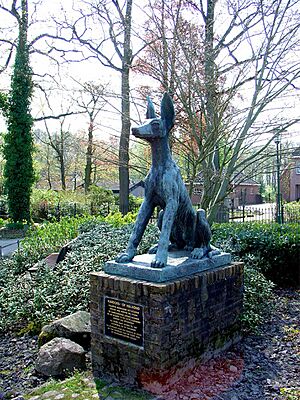 The Hellhound, symbol of De Lutte
