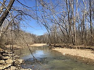 Hinkson Creek and trees in March 2019