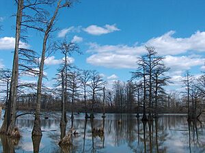 Horseshoe lake alexander county IL
