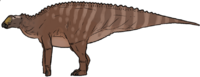 Huallasaurus australis.png