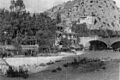 IWMQ12418DogRiver