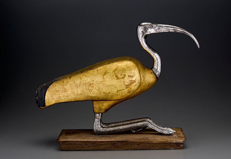 Ibis Coffin, 305-30 B.C.E., 49.48