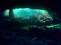 Image-Peacock Springs Entrance