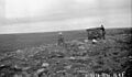 Inukshuk 1930