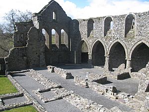 Jerpoint Abbey Ruins from Above