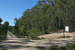 Junction of EG Rail Trail & Gipps Lakes Discovery Trail, 21.03.2009