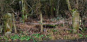 Lochwards Gatepost, Irvine