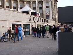 London Aquarium.001 - London.JPG