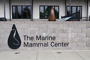 Marin Marine Mammal Center.jpg