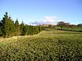Muirdykes Mount - geograph.org.uk - 85348