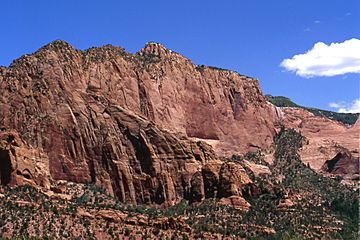 Navajo Sandstone (Lower Jurassic; Beatty Point, Kolob Canyons, Zion National Park, Utah, USA) (8423923437).jpg