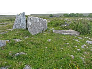 Northernmost of the Gleninsheen wedge tombs - geograph.org.uk - 863985
