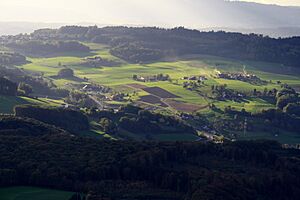 Oberwil-Lieli - Uetlibergturm IMG 1623