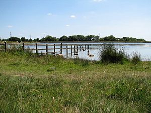 Pen-y-fan Pond - geograph.org.uk - 201943