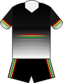 Penrith Panthers 2017 Primary Kit