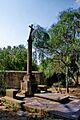 PiC-PanteoGari-4582