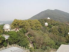 Purple mountain