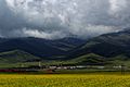 Qinghai Lake 2016 01