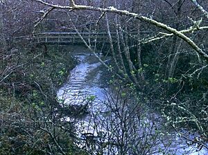 Redwood Creek one mile downstream from Muir Woods Hugh Kuhn 2011