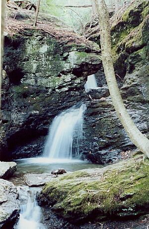 Roaring Falls