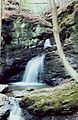 Roaring Falls