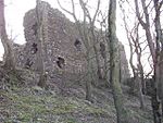 Ruins of Ravenscraig Castle - geograph.org.uk - 481419.jpg