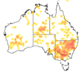 Scotorepens balstoni Occurrence records map