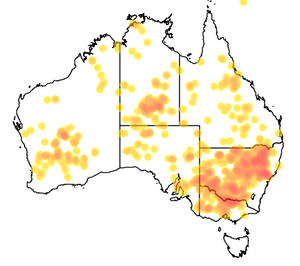 Scotorepens balstoni Occurrence records map.png