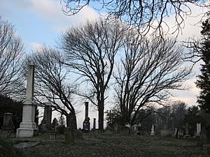Sinking Spring Cemetery (2358819619)
