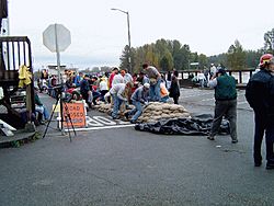 Skagit River sandbagging 2003
