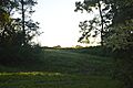 Sleeth Site from the road