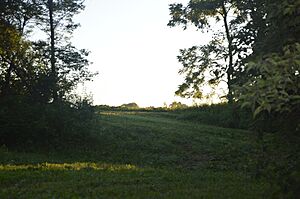 Sleeth Site from the road