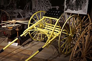 Sloan Museum July 2018 09 (c. 1886-1893 Flint Road Cart Company road cart)