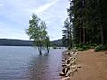 Sly Park, Pollock Pines, Calif. - panoramio