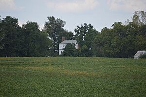 Springhill from the road