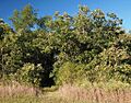 St Cloud & Red River Valley Stage Rd