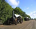 Steam Traction Engines - Barleylands Farm - geograph.org.uk - 59862