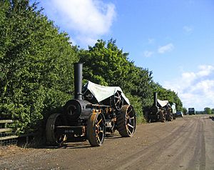 Steam Traction Engines - Barleylands Farm - geograph.org.uk - 59862