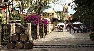 Streets of Tequila 664424236 (cropped).jpg