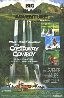 The Castaway Cowboy FilmPoster.jpeg