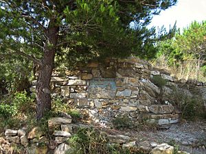 Thor Heyerdahl tomb