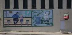 Troy, a city in Pike County, Alabama LCCN2010638582