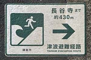 Tsunami evacuation route sign on the road, Kamakura, 2016
