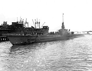 USS Lionfish